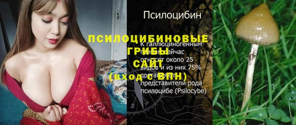 сатива Мегион