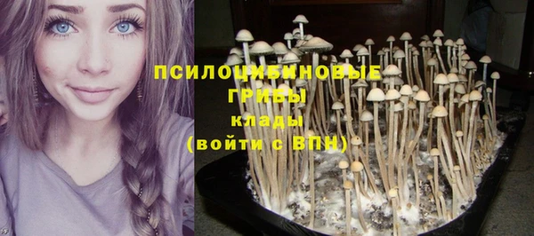 кокаин колумбия Медвежьегорск