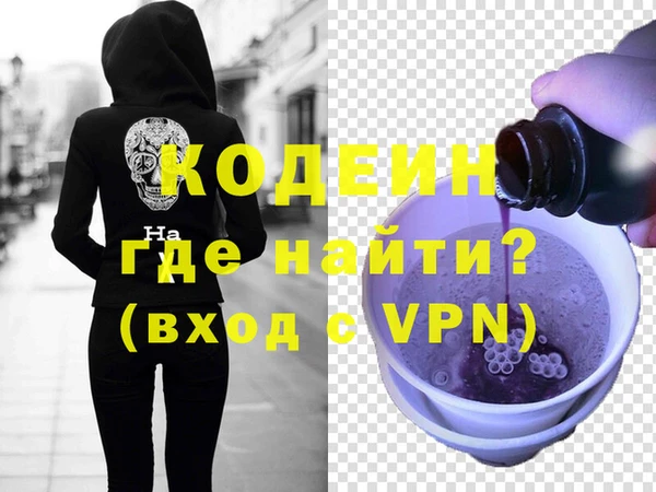дурь Инта